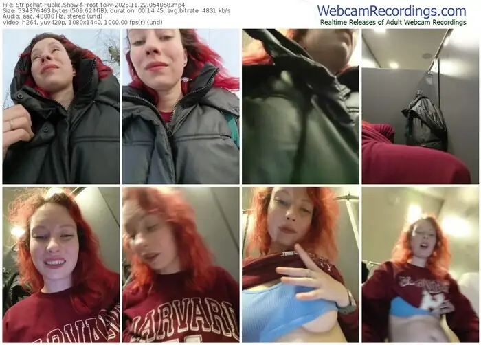 stripchat-frost_foxy-11-22-2025-05-40-58