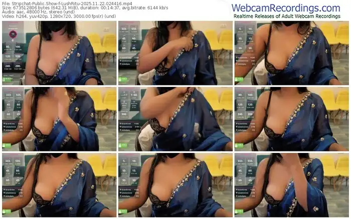 stripchat-lushritu-11-22-2025-02-44-16