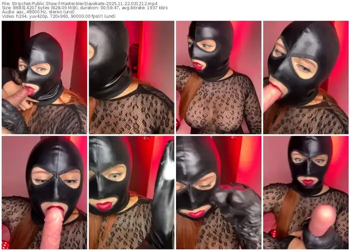 stripchat-masteralexslavekate-11-22-2025-03-12-12