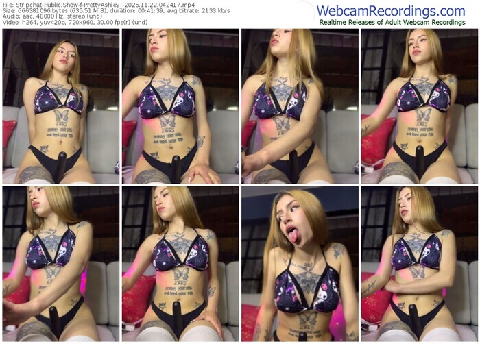 stripchat-prettyashley_-11-22-2025-04-24-17