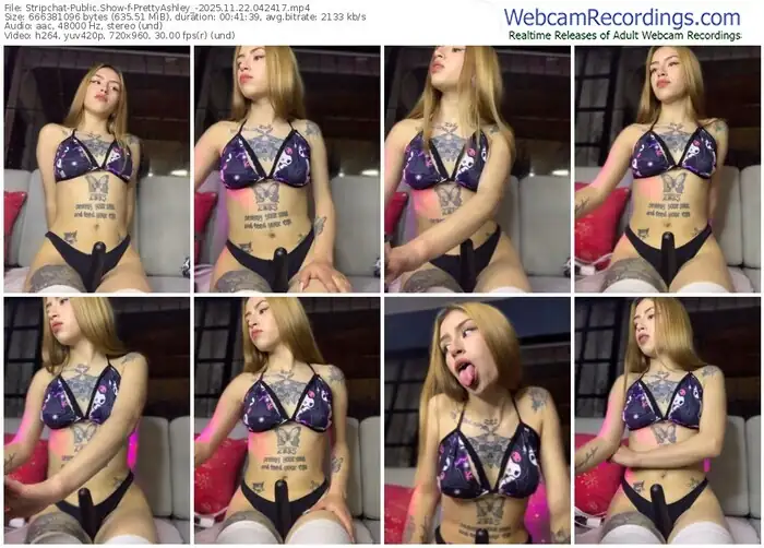 stripchat-prettyashley_-11-22-2025-04-24-17
