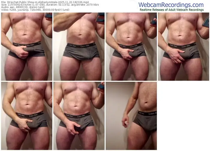 stripchat-alphagymmale-11-22-2025-18-23-26