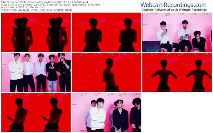 stripchat-boygayhouse-11-22-2025-12-46-03