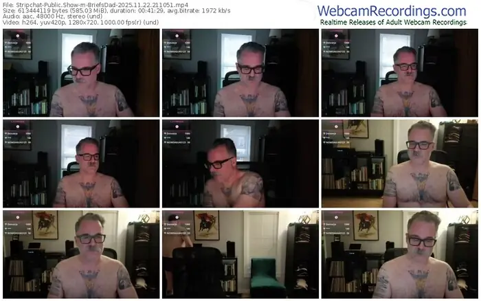 stripchat-briefsdad-11-22-2025-21-10-51