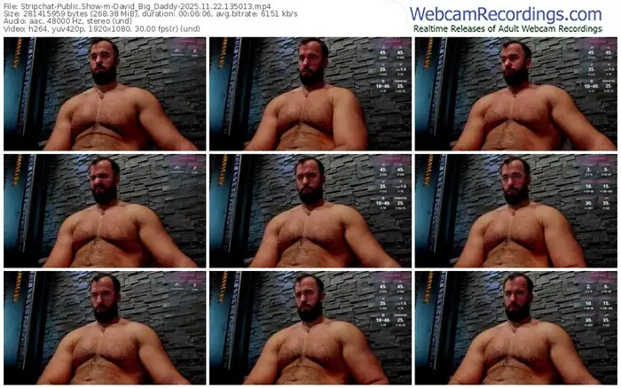 stripchat-david_big_daddy-11-22-2025-13-50-13