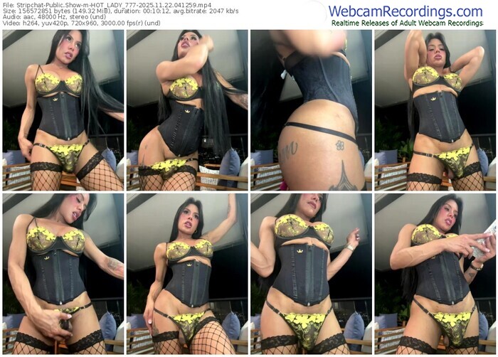 stripchat-hot_lady_777-11-22-2025-04-12-59