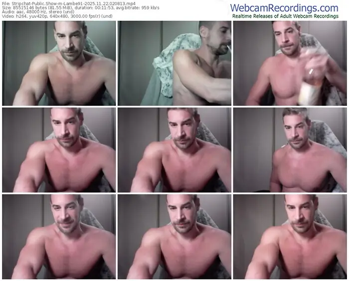 stripchat-lambe91-11-22-2025-02-08-13