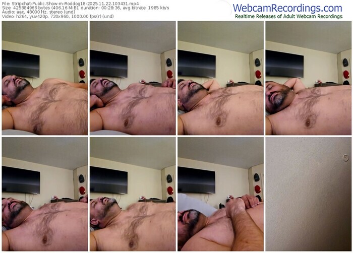stripchat-roddog18-11-22-2025-10-34-31