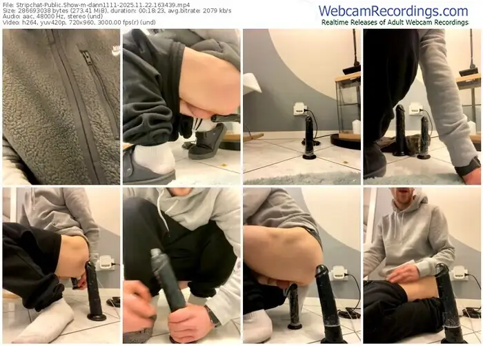 stripchat-dann1111-11-22-2025-16-34-39