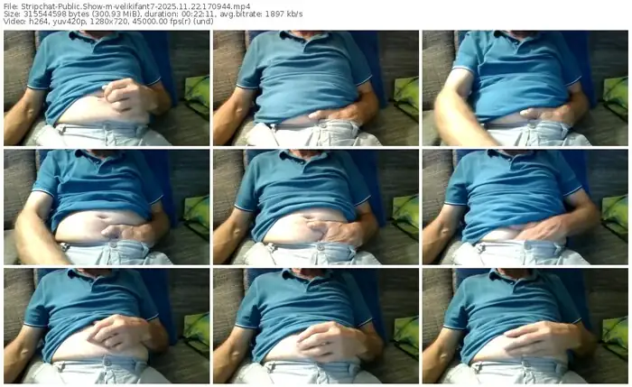 stripchat-velikifant7-11-22-2025-17-09-44