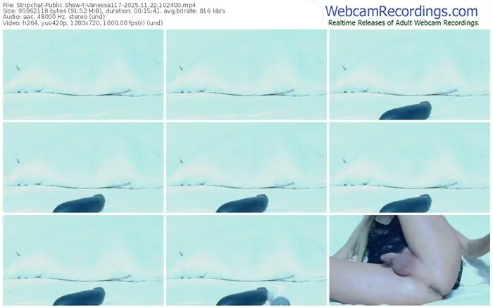 stripchat-vanessa117-11-22-2025-10-24-00