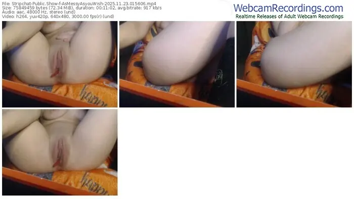 stripchat-asmessyasyouwish-11-23-2025-01-56-06