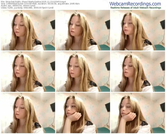 stripchat-barkysedna-11-23-2025-02-54-53
