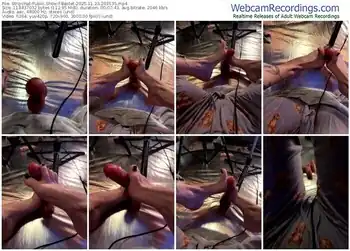 stripchat-bastet-11-23-2025-20-35-35