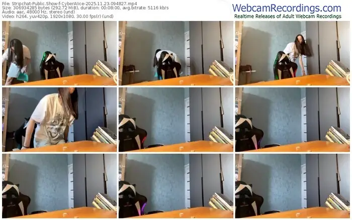 stripchat-cyberaiice-11-23-2025-09-48-27