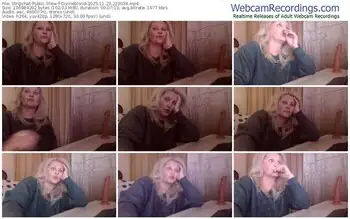 stripchat-divineblond-11-23-2025-22-30-38