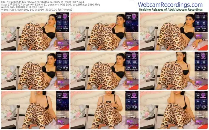 stripchat-elizabettalee-11-23-2025-01-10-17