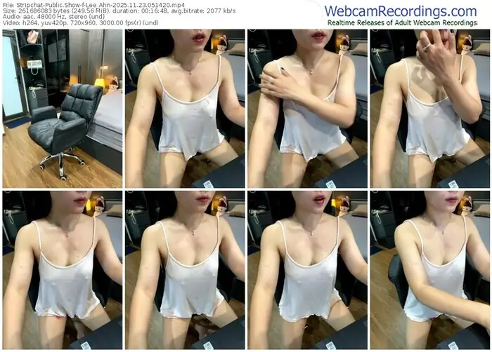 stripchat-lee_ahn-11-23-2025-05-14-20