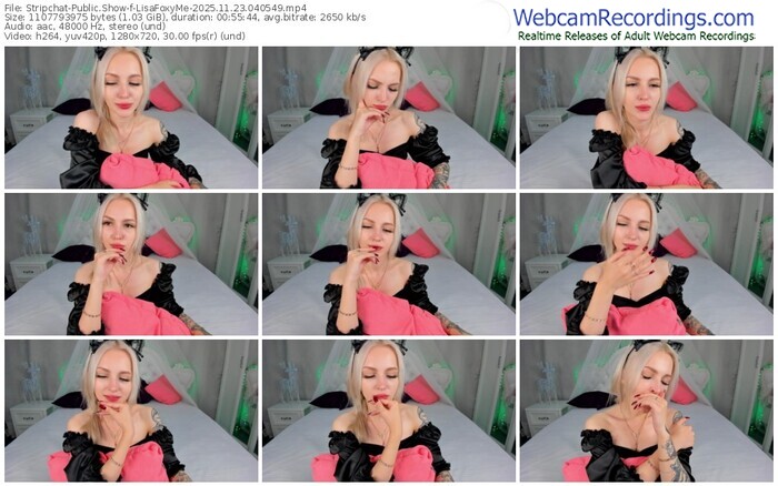 stripchat-lisafoxyme-11-23-2025-04-05-49