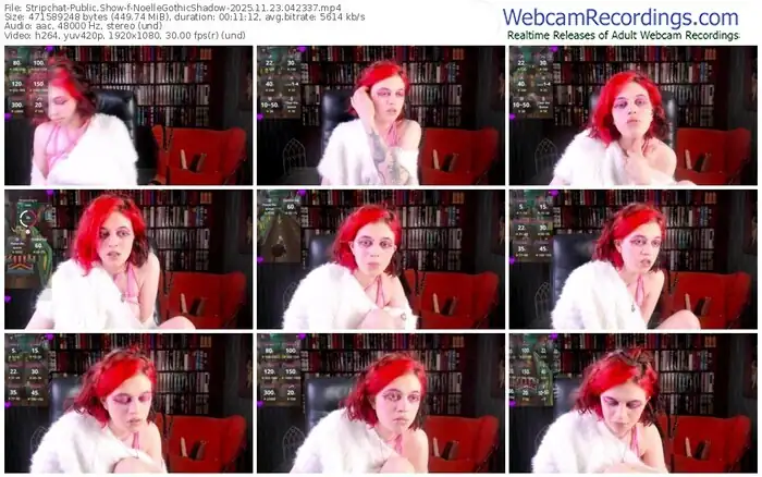 stripchat-noellegothicshadow-11-23-2025-04-23-37