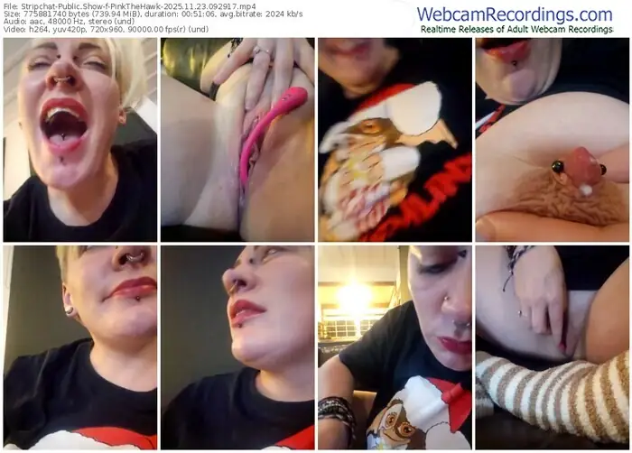 stripchat-pinkthehawk-11-23-2025-09-29-17