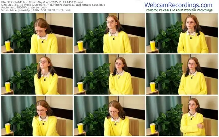 stripchat-toyapletz-11-23-2025-14-58-26