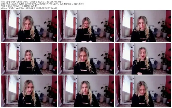 stripchat-vel1ka-11-23-2025-05-57-40