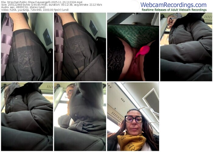 stripchat-eveangelll-11-23-2025-11-03-24