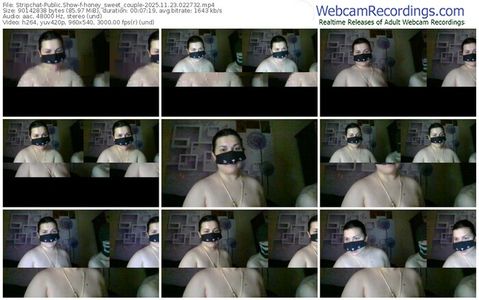 stripchat-honey_sweet_couple-11-23-2025-02-27-32