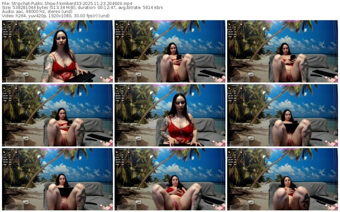 stripchat-kimberd33-11-23-2025-20-46-09