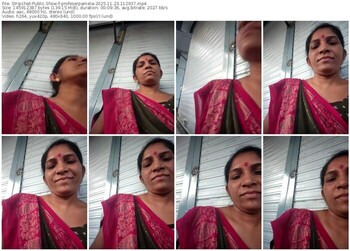 stripchat-profeserpamela-11-23-2025-11-29-37