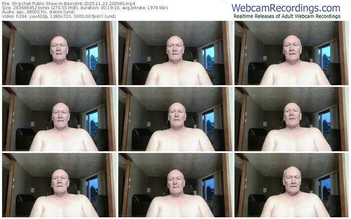 stripchat-basicant-11-23-2025-23-09-45