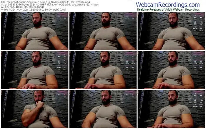stripchat-david_big_daddy-11-23-2025-17-29-26