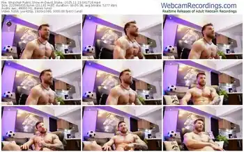 stripchat-david_blake_-11-23-2025-04-17-18