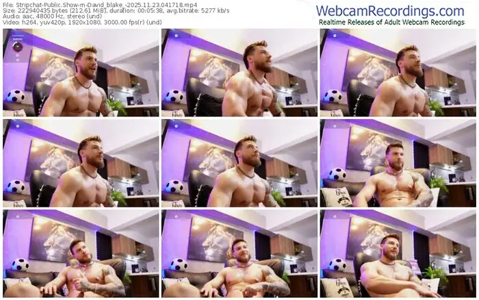stripchat-david_blake_-11-23-2025-04-17-18