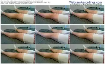 stripchat-jerkinator97-11-23-2025-20-22-59