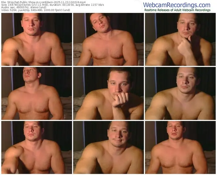 stripchat-lionedwin-11-23-2025-10-02-18