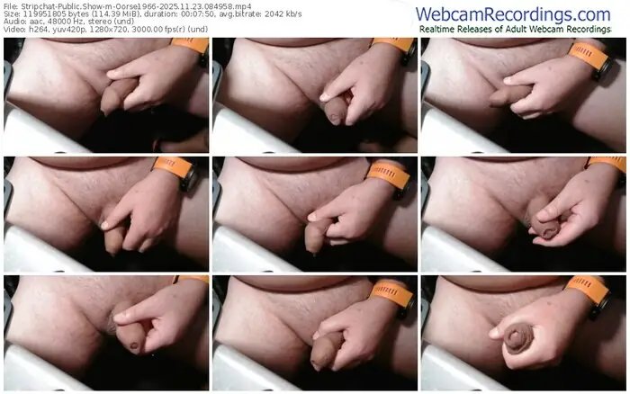 stripchat-oorse1966-11-23-2025-08-49-58