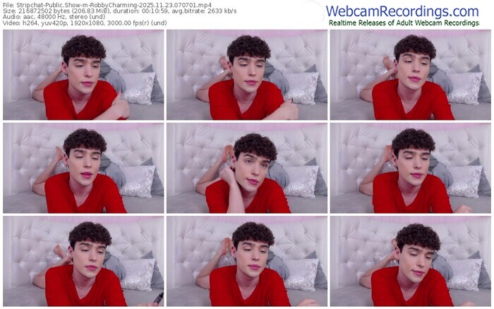 stripchat-robbycharming-11-23-2025-07-07-01