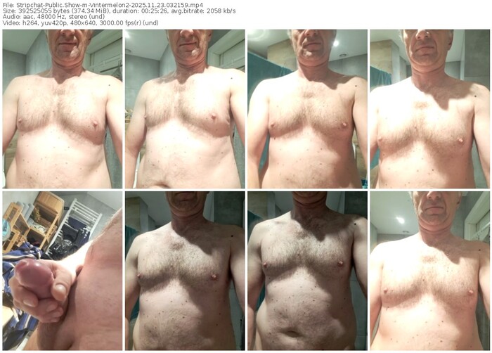 stripchat-vintermelon2-11-23-2025-03-21-59