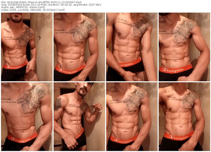 stripchat-woolff36-11-23-2025-04-36-47