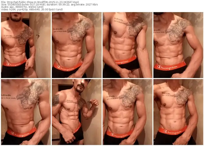 stripchat-woolff36-11-23-2025-04-36-47