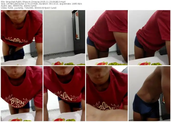 stripchat-zinexraj-11-23-2025-09-28-13
