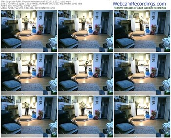 stripchat-mihaimichael-11-23-2025-22-11-55