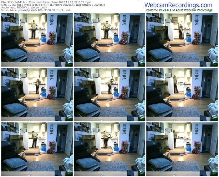 stripchat-mihaimichael-11-23-2025-22-11-55