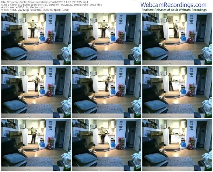 stripchat-mihaimichael-11-23-2025-22-11-55