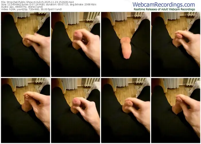 stripchat-tulich-11-23-2025-15-26-28