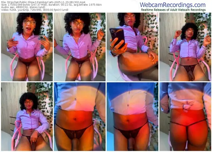 stripchat-femboycarti-11-23-2025-08-13-02