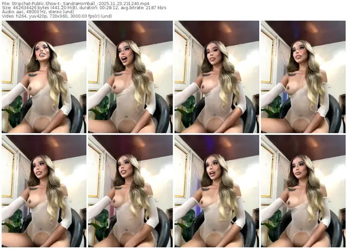 stripchat-_sandrahornball_-11-23-2025-23-12-40