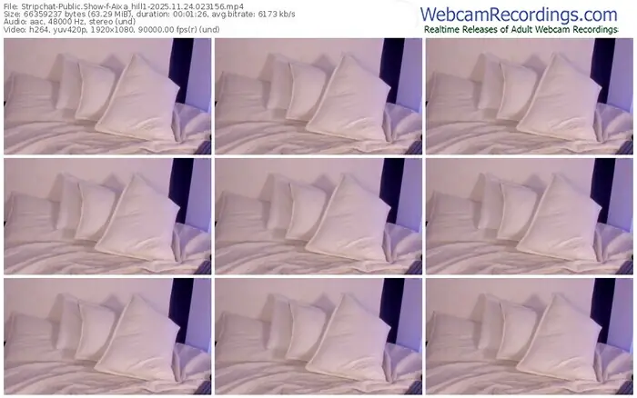 stripchat-aixa_hill1-11-24-2025-02-31-56